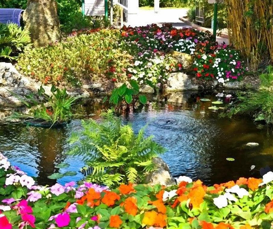  I visited the biggest Botanical Garden in Florida!